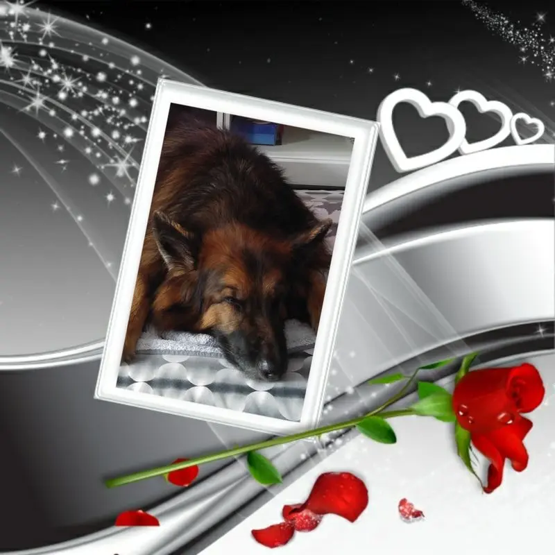 Condolence image of Dobrej Nocki Ukochany Misieńku❤️❤️❤️