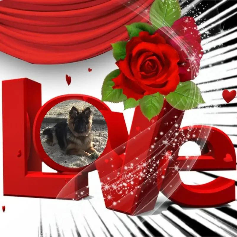 Condolence image of Dzień Dobry mój Ukochany❤️❤️❤️Misieńku❤️❤️❤️