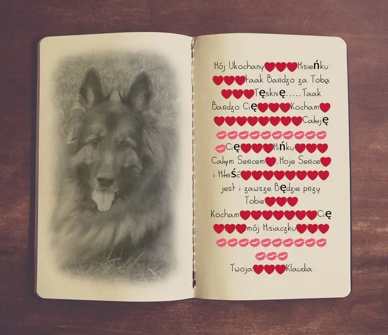 Condolence image of Dzień Dobry mój Ukochany❤️❤️❤️Misieńku❤️❤️❤️