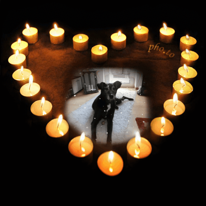 Condolence image of Unbekannt