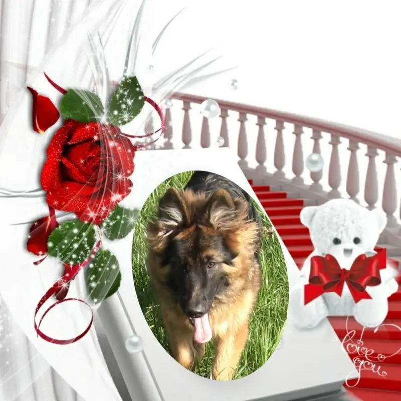 Condolence image of Dzień Dobry mój Ukochany❤️❤️❤️Misieńku❤️❤️❤️