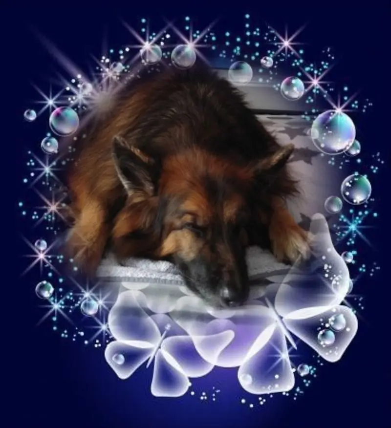 Condolence image of Dobrej Nocki Ukochany Misieńku❤️❤️❤️