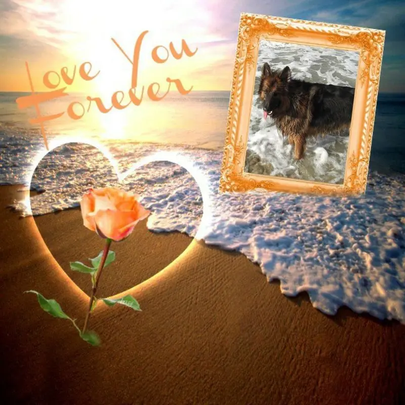 Condolence image of Mój Misiulek❤❤❤