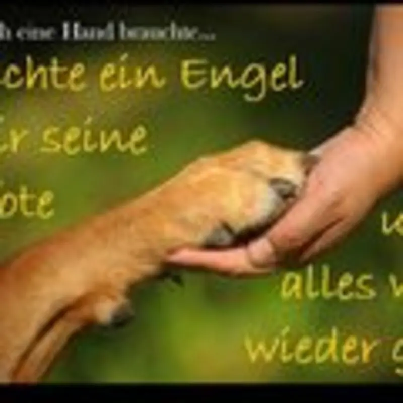 Condolence image of Evelyn mit Nele,Lara und Fleckchen im Herzen