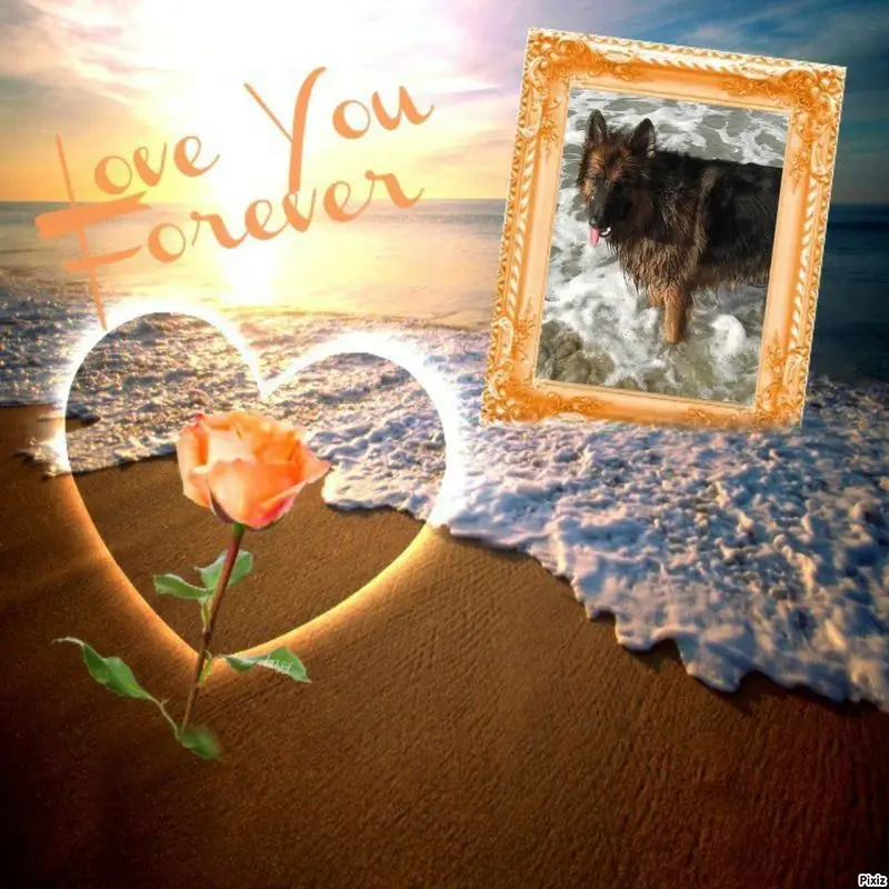 Condolence image of Sternchenpost ⭐