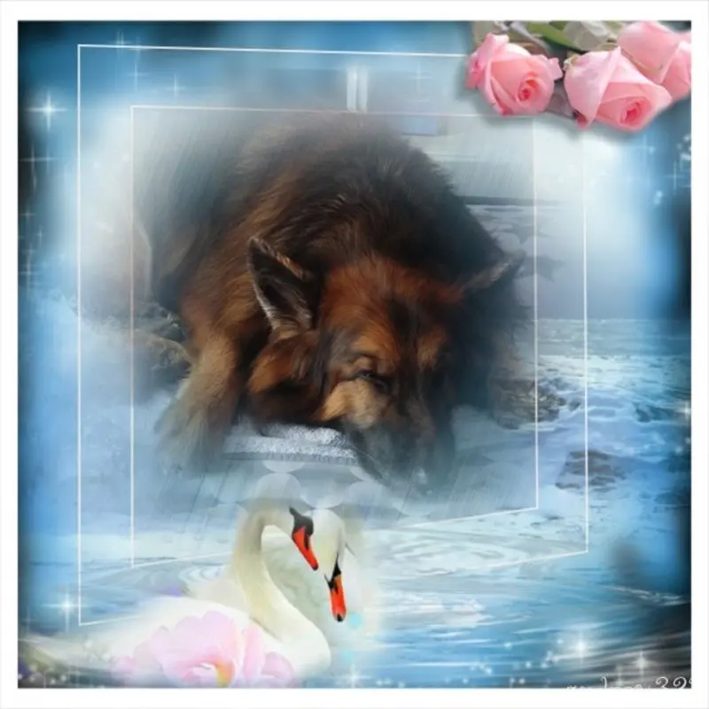 Condolence image of Dobrej Nocki Ukochany Misieńku❤️❤️❤️