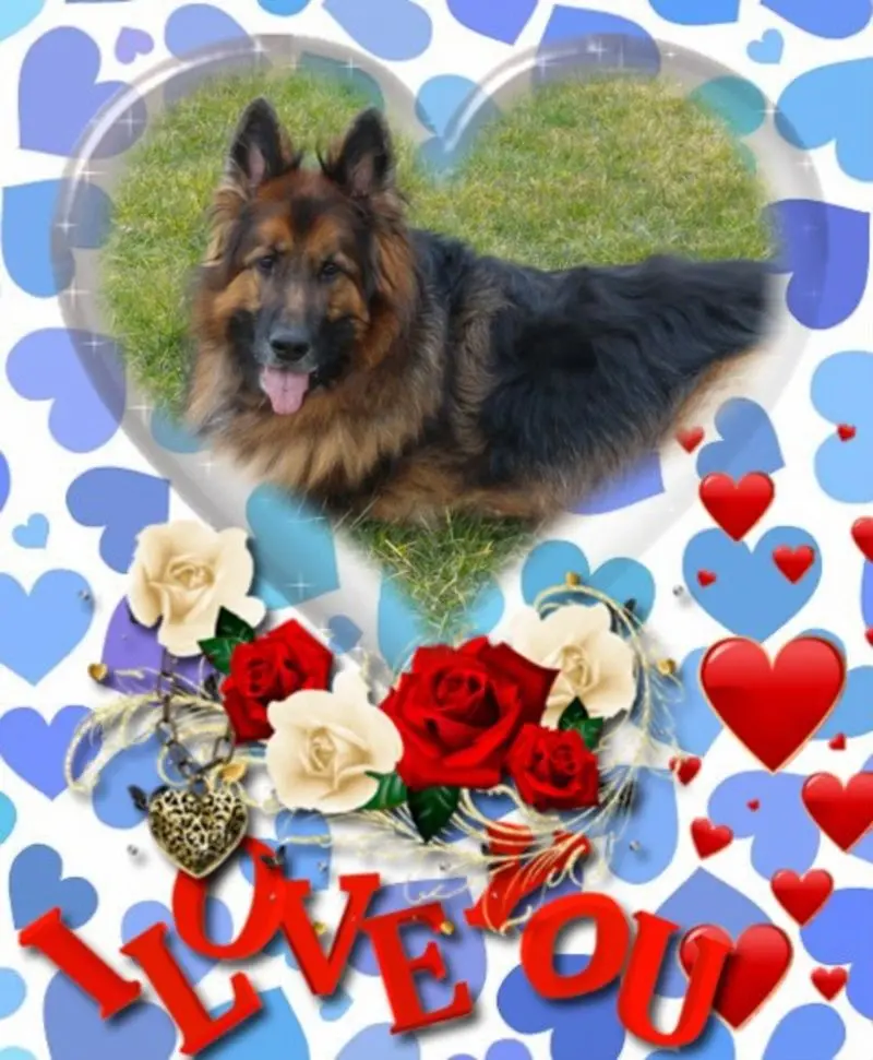 Condolence image of Dzień Dobry mój Ukochany❤️❤️❤️Misieńku❤️❤️❤️