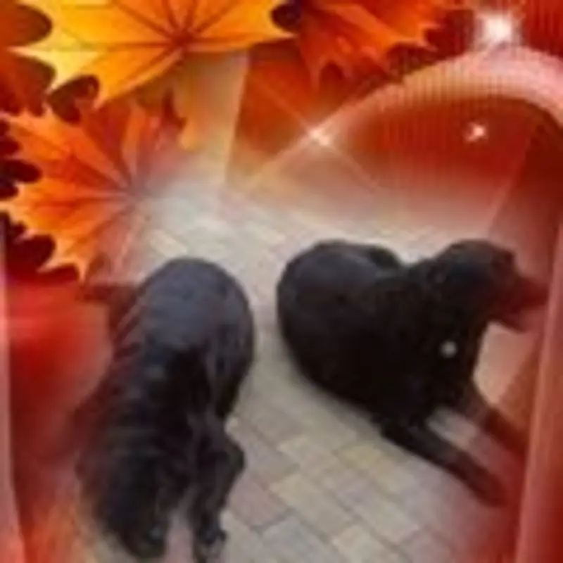 Condolence image of Unbekannt