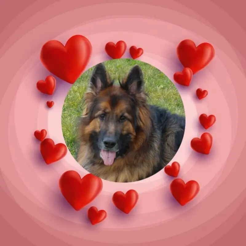 Condolence image of Dobry Wieczór❤️❤️❤️mój Misieńku❤️❤️❤️