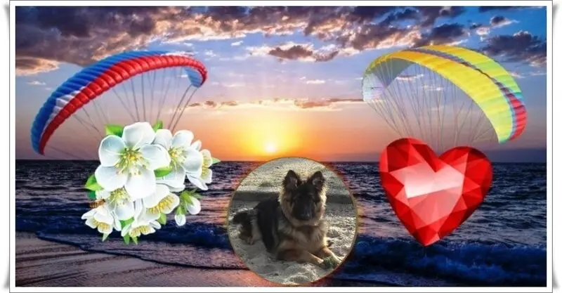 Condolence image of Dzień Dobry mój Ukochany❤️❤️❤️Misieńku❤️❤️❤️