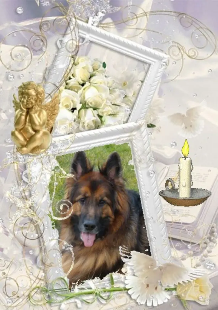 Condolence image of Kocham Cię❤❤❤