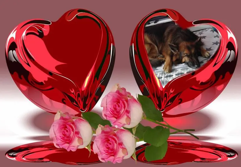 Condolence image of Dobrej Nocki Ukochany Misieńku❤️❤️❤️