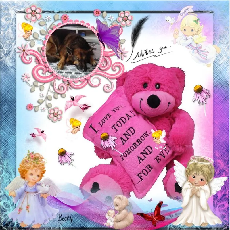 Condolence image of Dobrej Nocki Ukochany Misieńku❤️❤️❤️