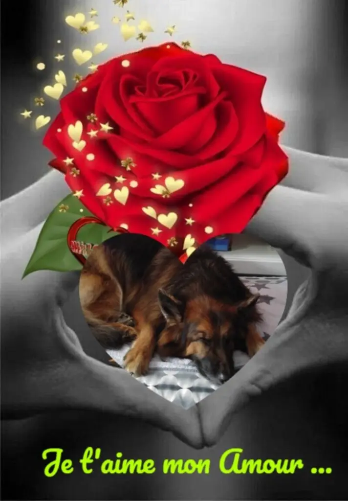 Condolence image of Dobrej Nocki Ukochany Misieńku❤️❤️❤️
