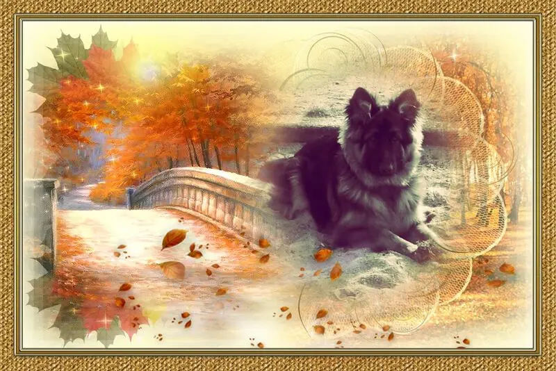 Condolence image of Mój Misiulek❤❤❤