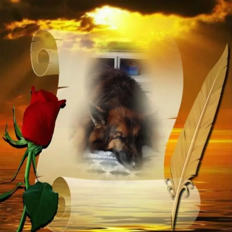 Condolence image of Dobrej Nocki Ukochany Misieńku❤️❤️❤️