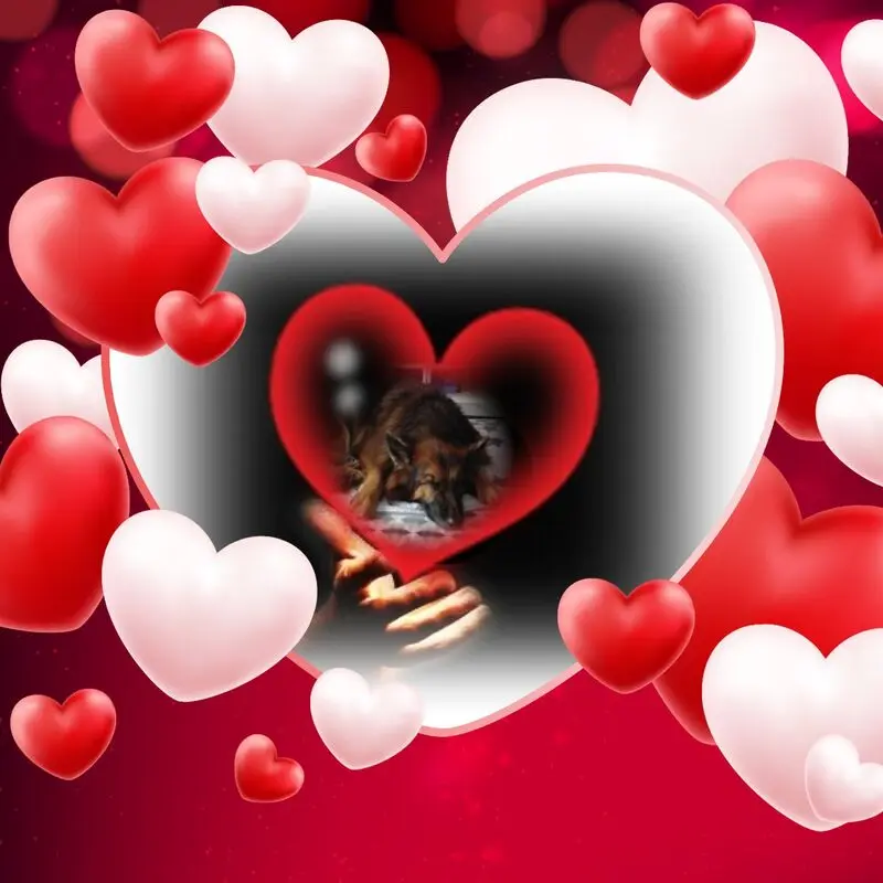 Condolence image of Dobrej Nocki Ukochany Misieńku❤️❤️❤️