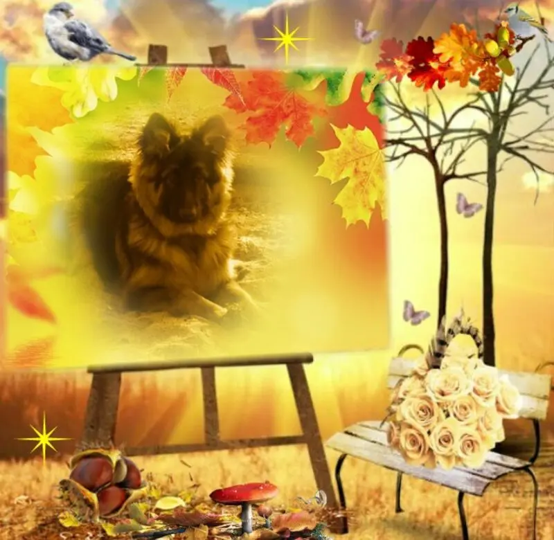 Condolence image of Dzień Dobry mój Ukochany❤️❤️❤️Misieńku❤️❤️❤️