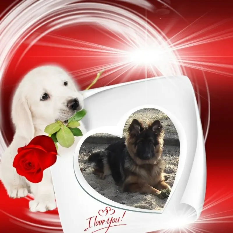 Condolence image of Dzień Dobry mój Ukochany❤️❤️❤️Misieńku❤️❤️❤️