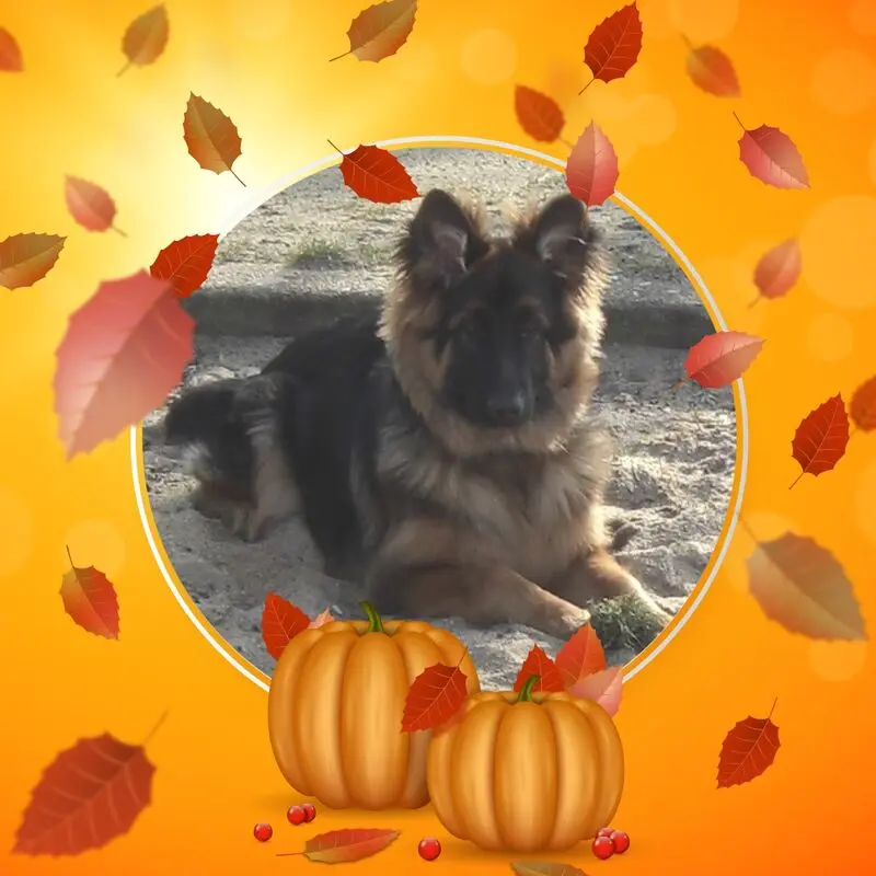 Condolence image of Dzień Dobry mój Ukochany❤️❤️❤️Misieńku❤️❤️❤️