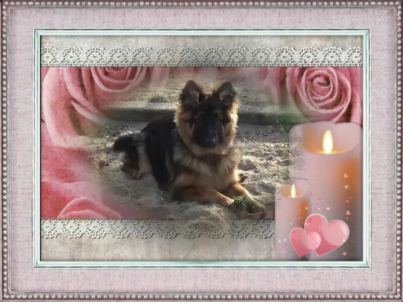 Condolence image of Dzień Dobry mój Ukochany❤️❤️❤️Misieńku❤️❤️❤️
