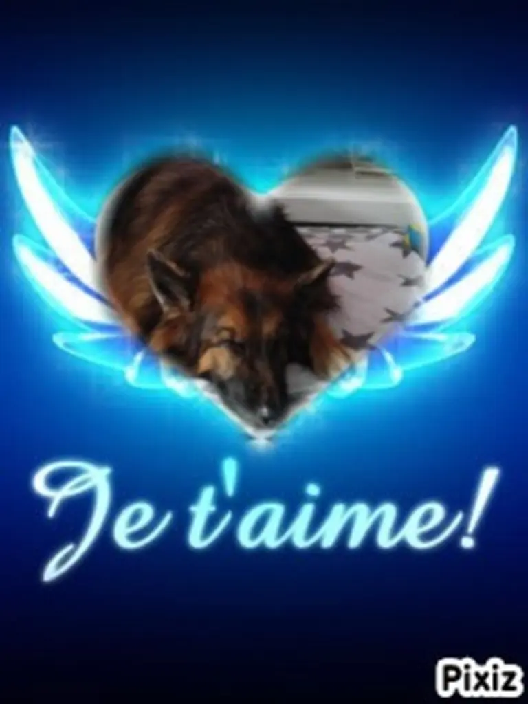 Condolence image of Dobrej Nocki Ukochany Misieńku❤️❤️❤️