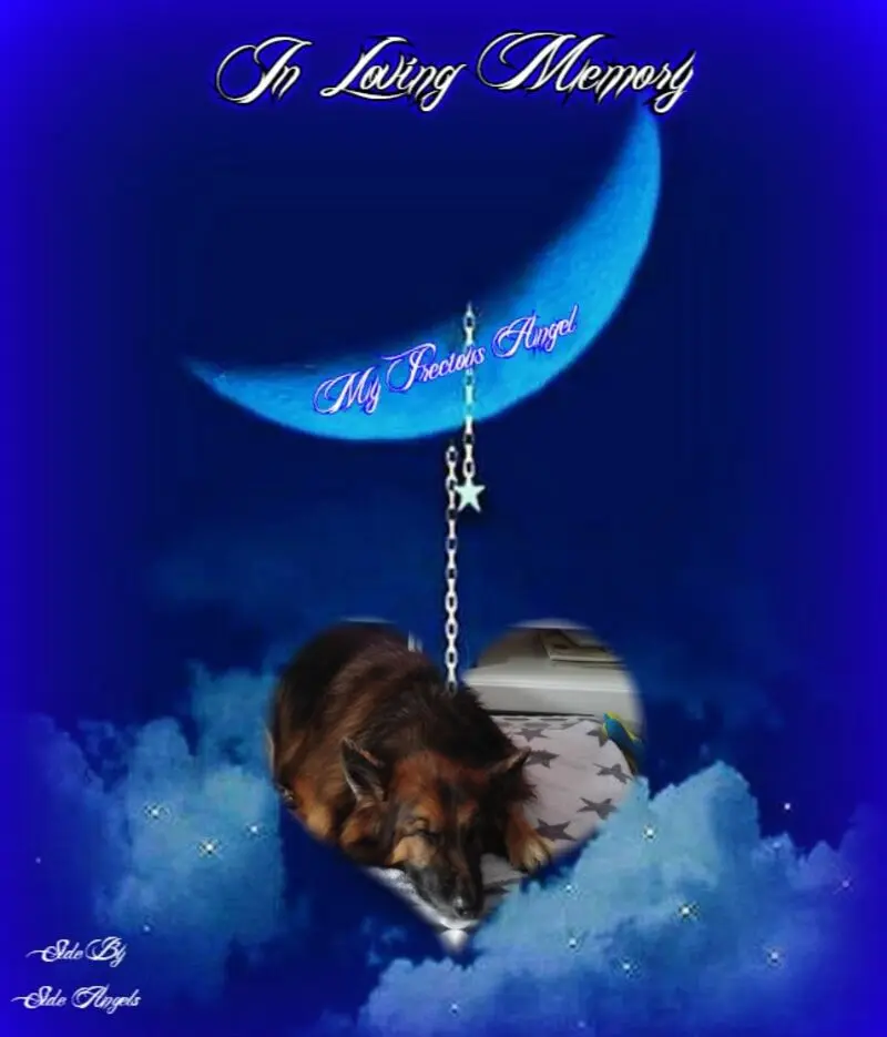 Condolence image of Dobrej Nocki Ukochany Misieńku❤️❤️❤️