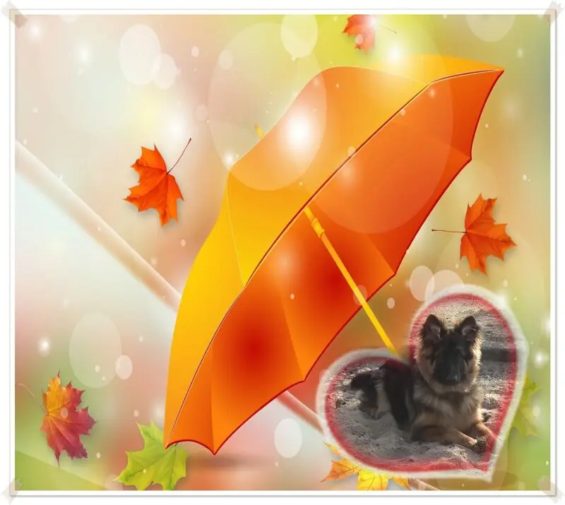 Condolence image of Dzień Dobry mój Ukochany❤️❤️❤️Misieńku❤️❤️❤️