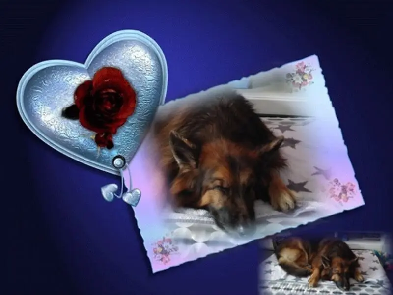 Condolence image of Dobrej Nocki Ukochany Misieńku❤️❤️❤️