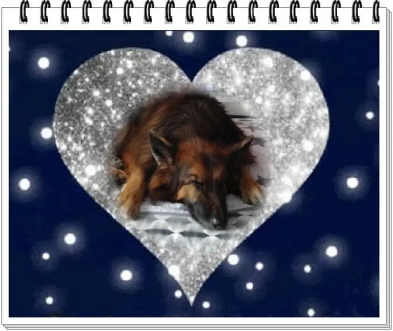 Condolence image of Dobrej Nocki Ukochany Misieńku❤️❤️❤️