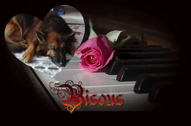 Condolence image of Dobrej Nocki Ukochany Misieńku❤️❤️❤️