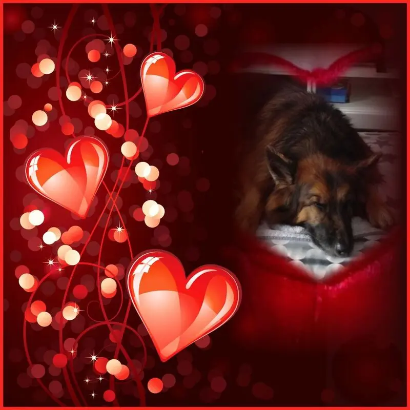 Condolence image of Dobrej Nocki Ukochany Misieńku❤️❤️❤️