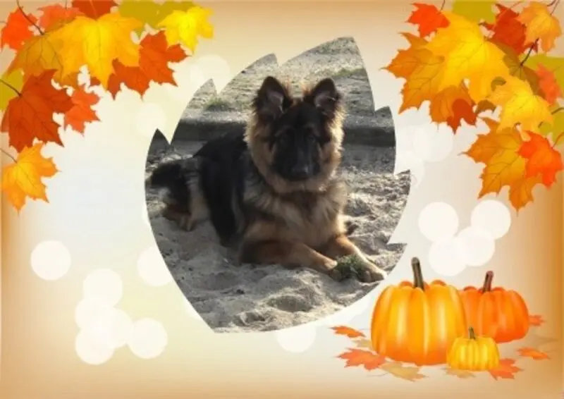 Condolence image of Dzień Dobry mój Ukochany❤️❤️❤️Misieńku❤️❤️❤️