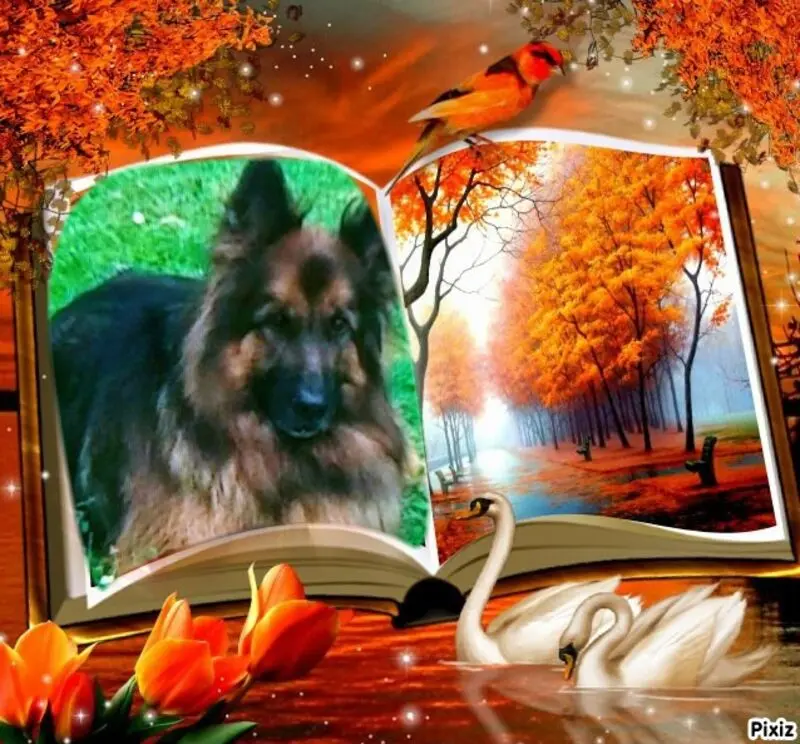 Condolence image of Andrea mit Minki im ❤