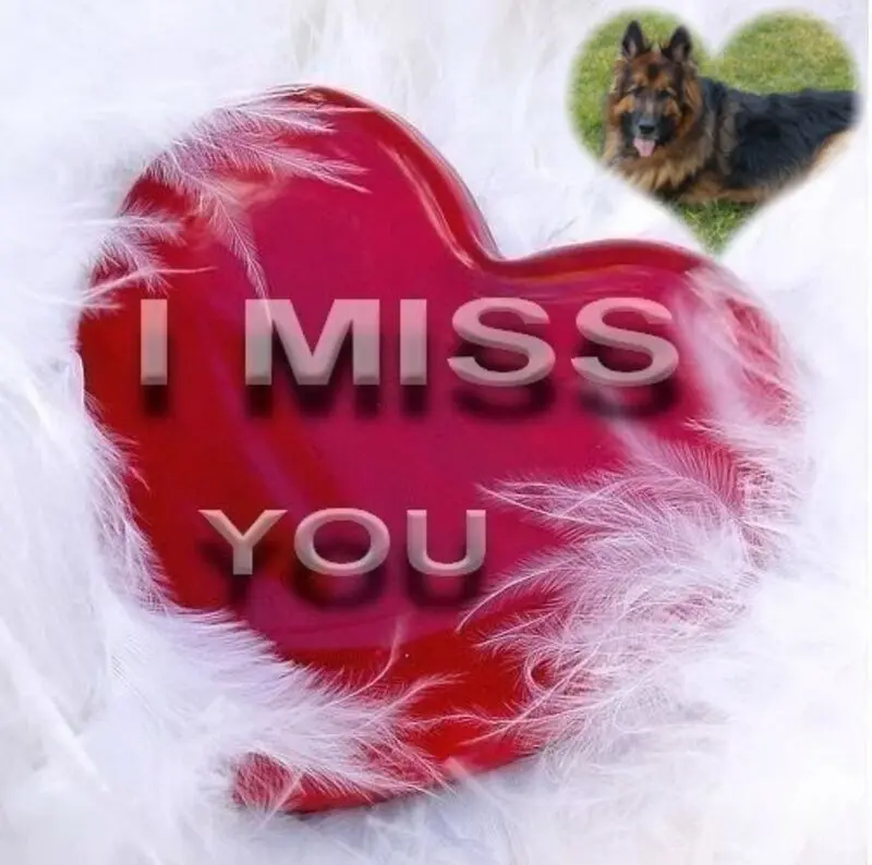 Condolence image of Dzień Dobry mój Ukochany❤️❤️❤️Misieńku❤️❤️❤️