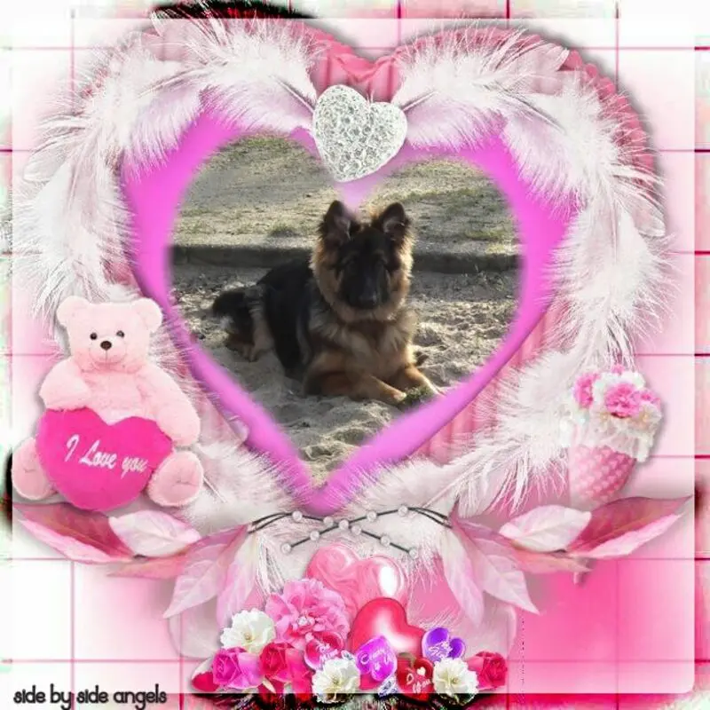 Condolence image of Meine Sonntags❤️Sternchen❤️