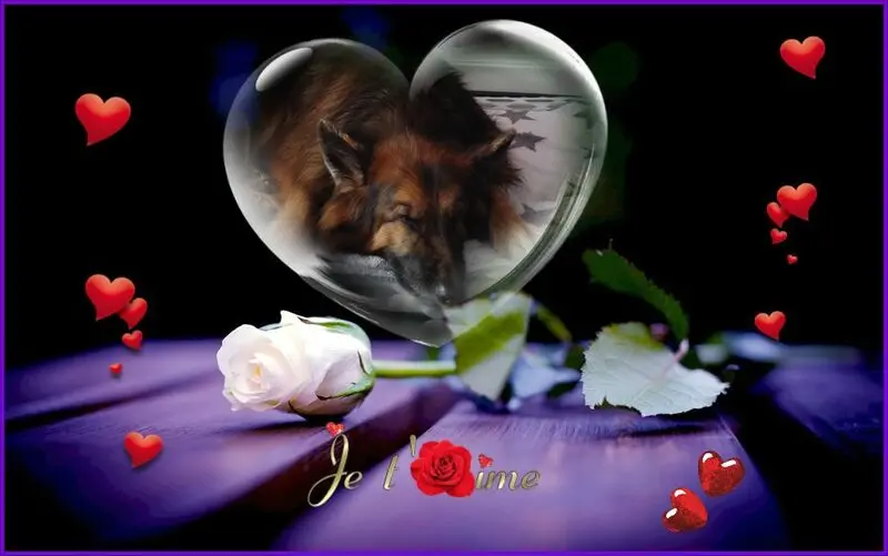 Condolence image of Dobrej Nocki Ukochany Misieńku❤️❤️❤️
