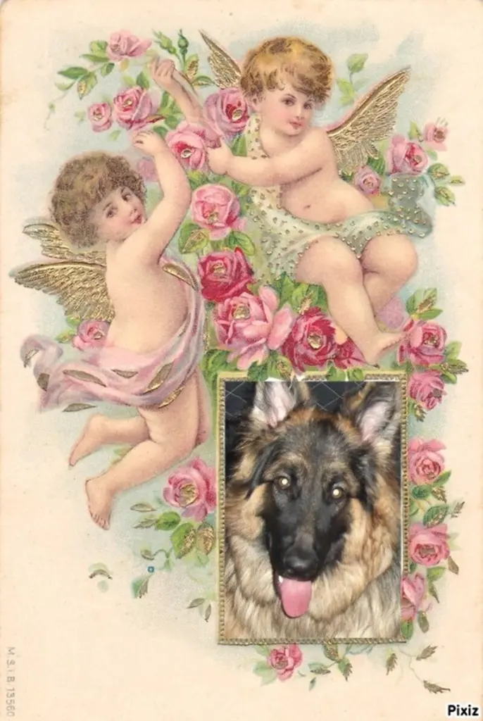 Condolence image of Sternchenpost ⭐