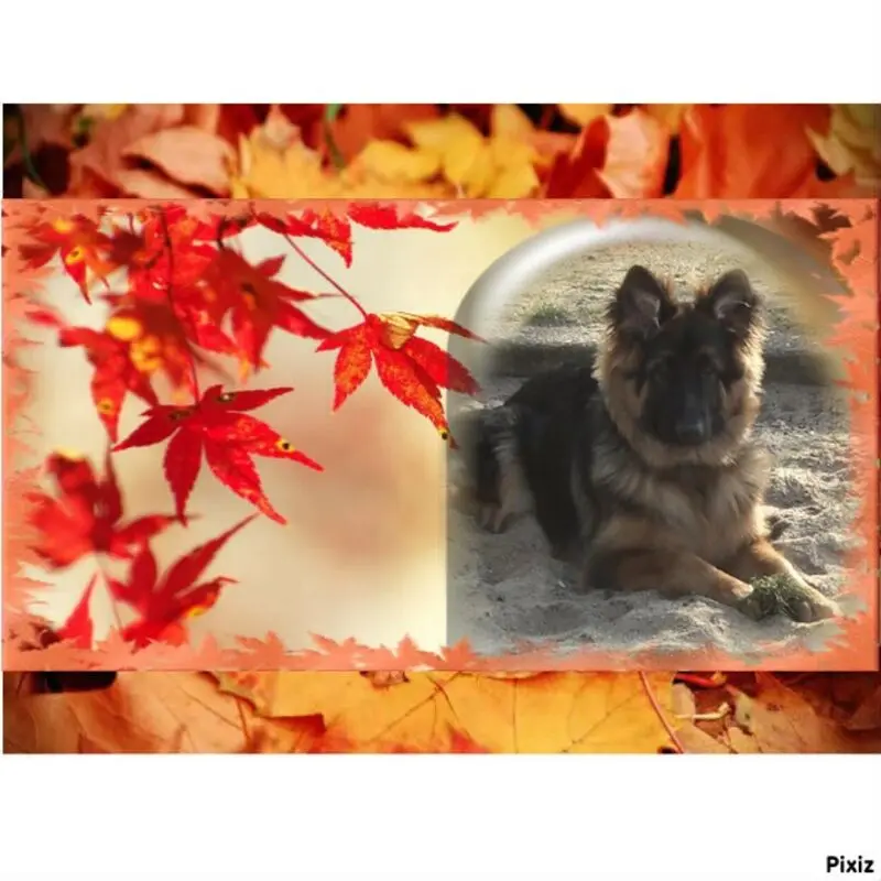 Condolence image of Dzień Dobry mój Ukochany❤️❤️❤️Misieńku❤️❤️❤️