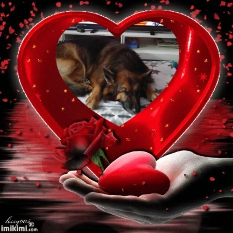 Condolence image of Dobrej Nocki Ukochany Misieńku❤️❤️❤️