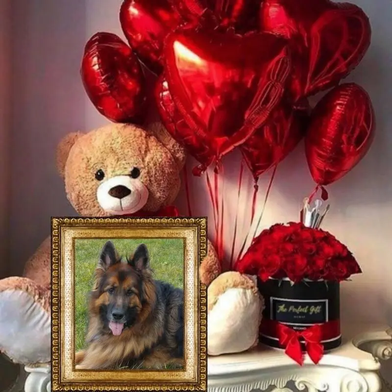 Condolence image of Dobry Wieczór❤️❤️❤️mój Misieńku❤️❤️❤️