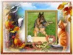 Condolence image of Dzień Dobry mój Ukochany❤️❤️❤️Misieńku❤️❤️❤️