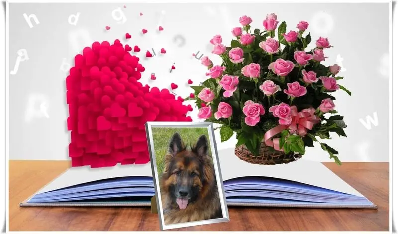 Condolence image of Sonntags❤️Sternchen❤️❤️❤️❤️
