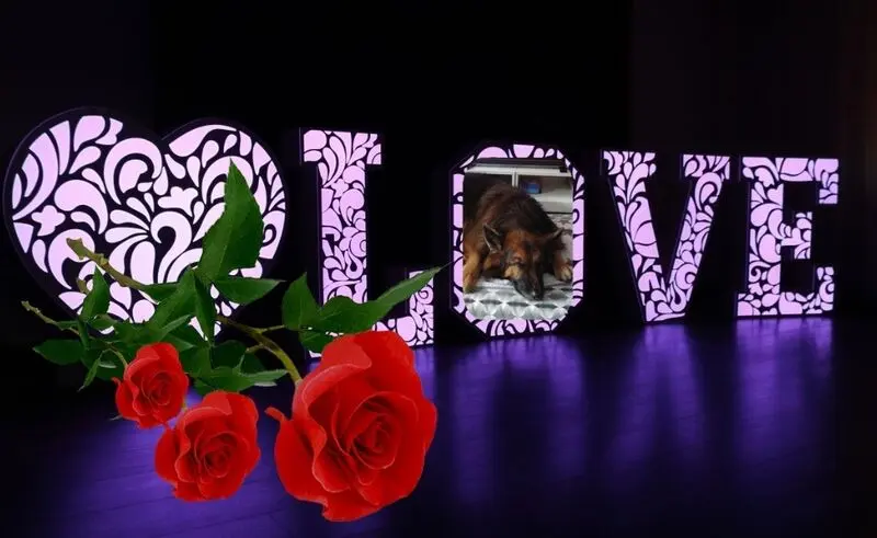 Condolence image of Dobrej Nocki Ukochany Misieńku❤️❤️❤️