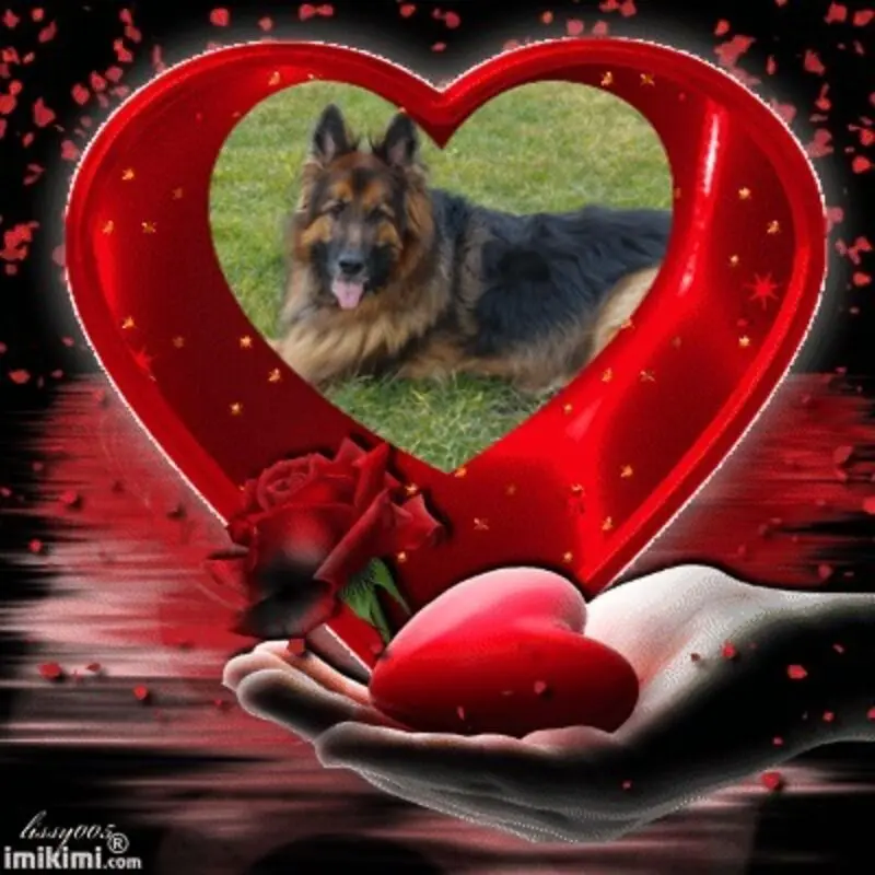 Condolence image of Dzień Dobry mój Ukochany❤️❤️❤️Misieńku❤️❤️❤️