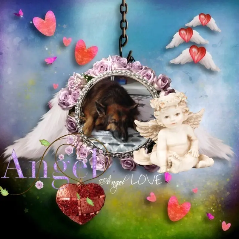 Condolence image of Dobrej Nocki❤️❤️❤️mój Ukochany❤️❤️❤️❤️❤️❤️❤️Misieńku❤️❤️❤️