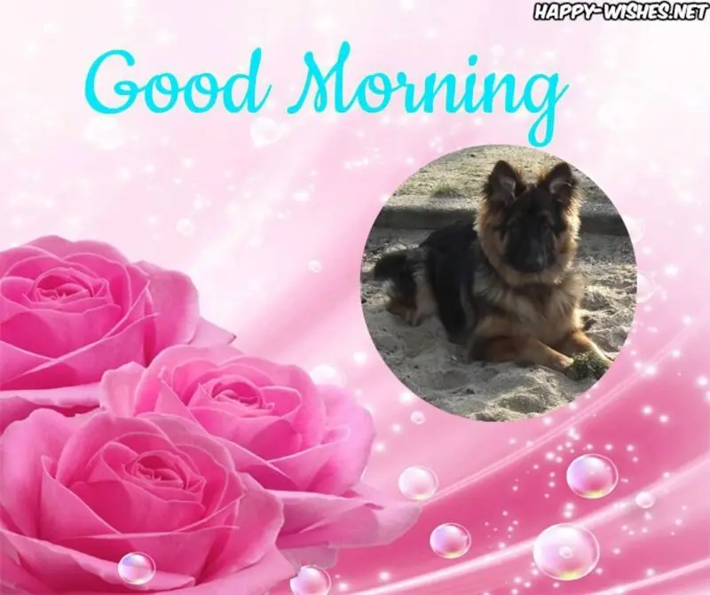 Condolence image of Dzień Dobry❤️❤️❤️mój Ukochany❤️❤️❤️❤️❤️Misieńku❤️❤️❤️