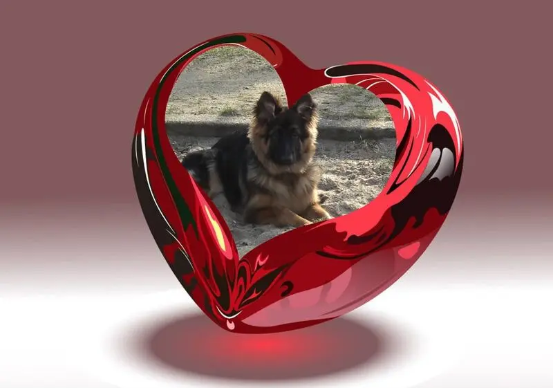 Condolence image of Dzień Dobry❤️❤️❤️mój Ukochany❤️❤️❤️❤️❤️Misieńku❤️❤️❤️
