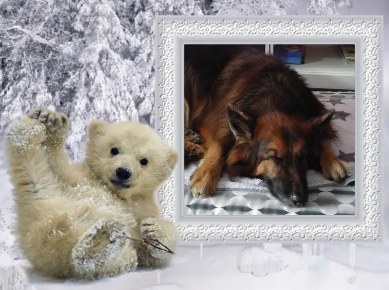 Condolence image of Dobrej Nocki❤️❤️❤️mój Ukochany❤️❤️❤️❤️❤️❤️❤️Misieńku❤️❤️❤️