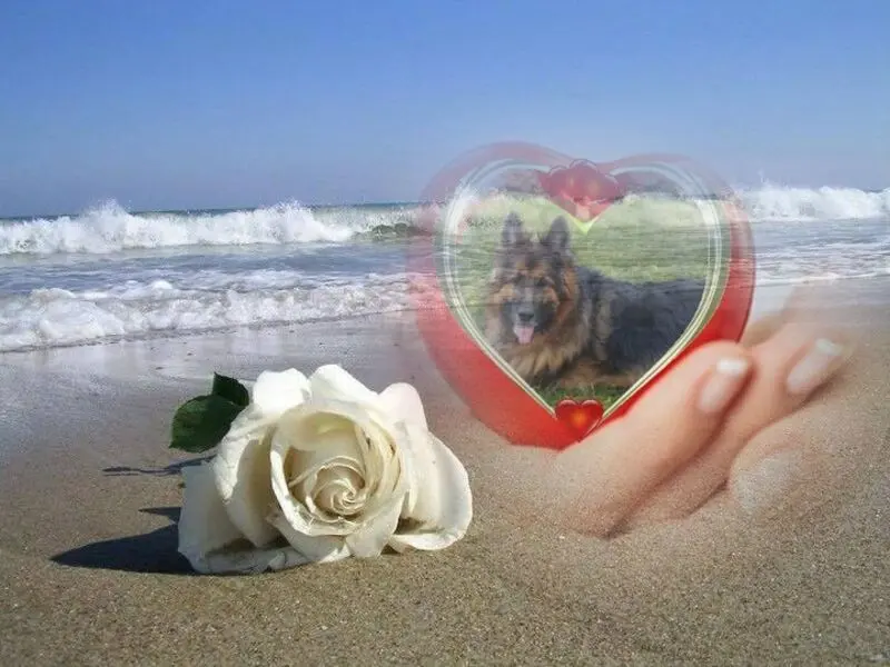 Condolence image of Dzień Dobry❤️❤️❤️mój Ukochany❤️❤️❤️❤️❤️Misieńku❤️❤️❤️